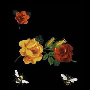 Meet your Posher, Kaitlyn